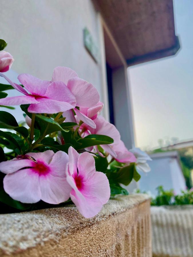 ברדולינו Casa Rachele Apartment מראה חיצוני תמונה